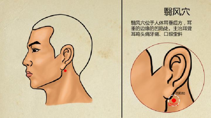 补肾养生菜有哪些？有什么茶能养颜抗衰老吗？