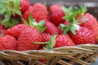 草莓英语单词怎么读 草莓英语单词简单介绍
