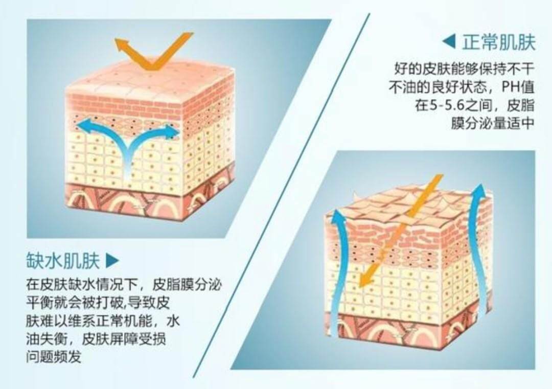 秋冬季爆皮又爆痘，怎么办？