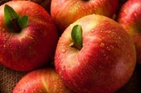 糖心苹果是热性还是凉性 糖心苹果属于热性还是凉性的水果呢
