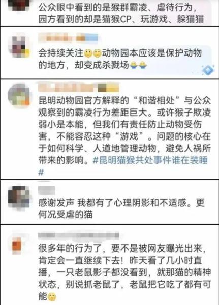 昆明动物园猫咪获救：舆论压力下的反思与行动