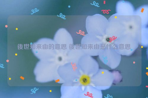 後世知来由的意思 後世知来由是什么意思