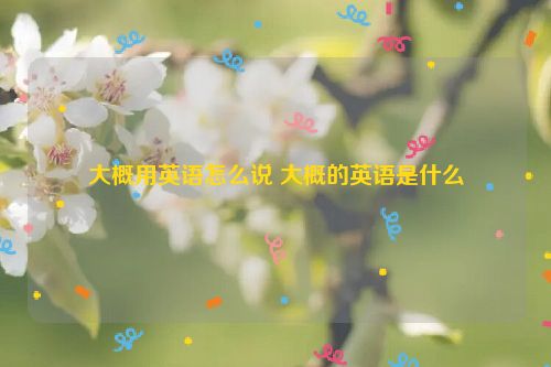 大概用英语怎么说 大概的英语是什么