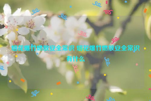 烟花爆竹燃放安全常识 烟花爆竹燃放安全常识有什么