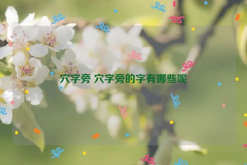 穴字旁 穴字旁的字有哪些呢