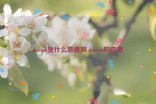 damon是什么意思啊 damon的意思