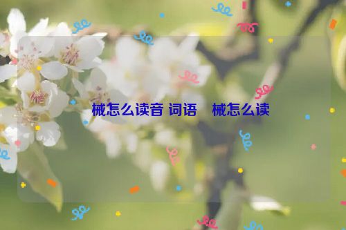 杻械怎么读音 词语杻械怎么读