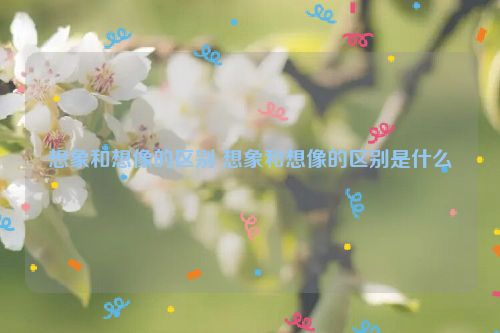 想象和想像的区别 想象和想像的区别是什么