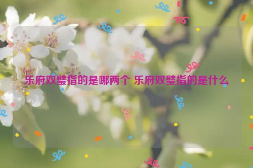 乐府双璧指的是哪两个 乐府双璧指的是什么