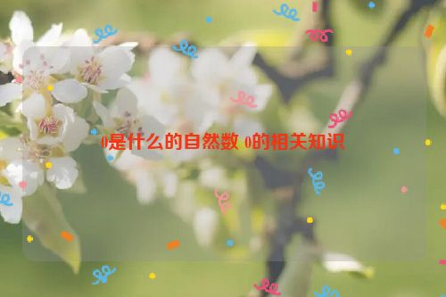 0是什么的自然数 0的相关知识