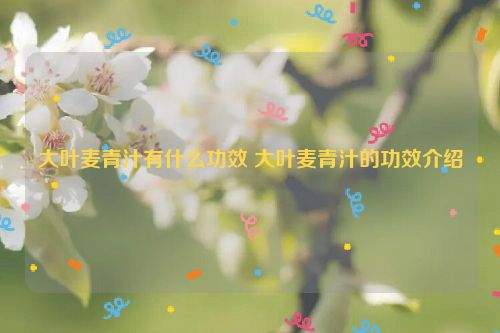 大叶麦青汁有什么功效 大叶麦青汁的功效介绍