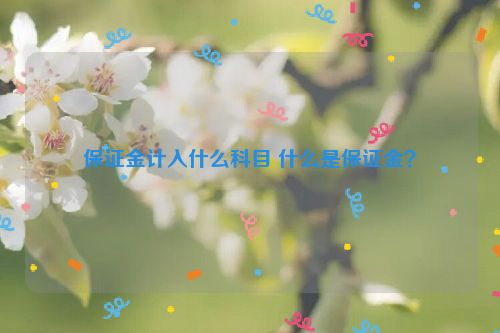 保证金计入什么科目 什么是保证金？