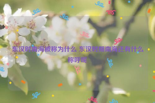 东汉时南海被称为什么 东汉时期南海还有什么称呼呢