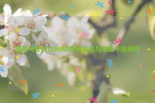 菠菜与虾可以同时吃吗 菠菜与虾能不能同吃