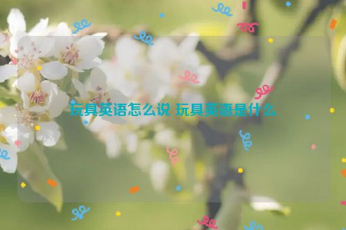 玩具英语怎么说 玩具英语是什么