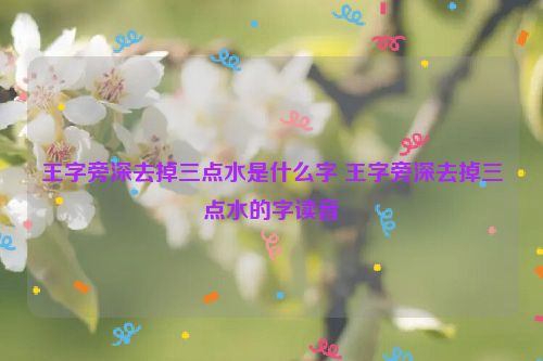 王字旁深去掉三点水是什么字 王字旁深去掉三点水的字读音