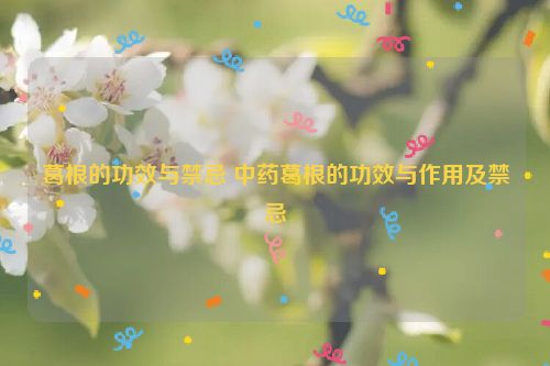 葛根的功效与禁忌 中药葛根的功效与作用及禁忌