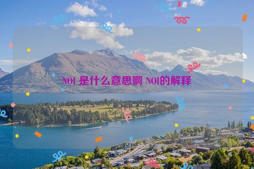 NOI 是什么意思啊 NOI的解释