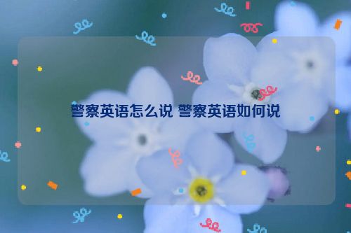 警察英语怎么说 警察英语如何说