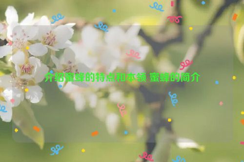 介绍蜜蜂的特点和本领 蜜蜂的简介