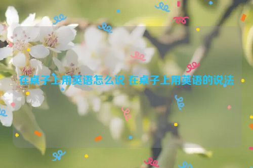 在桌子上用英语怎么说 在桌子上用英语的说法