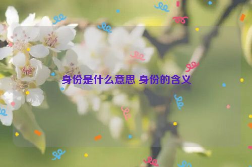 身份是什么意思 身份的含义