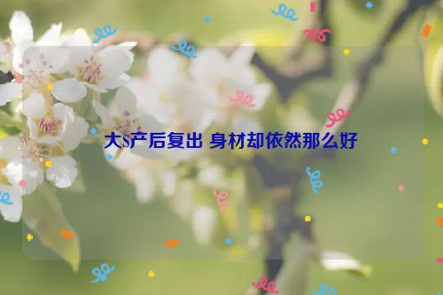 ​大S产后复出 身材却依然那么好