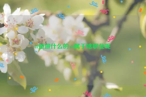 it是做什么的 it属于啥职业呢