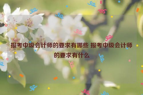 报考中级会计师的要求有哪些 报考中级会计师的要求有什么