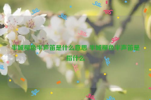 半城柳色半声笛是什么意思 半城柳色半声笛是指什么