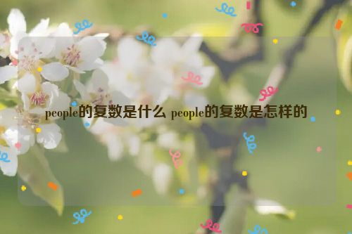 people的复数是什么 people的复数是怎样的