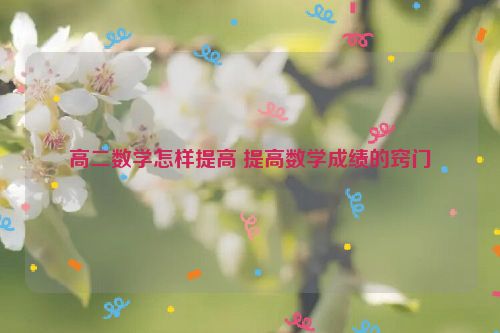 高二数学怎样提高 提高数学成绩的窍门