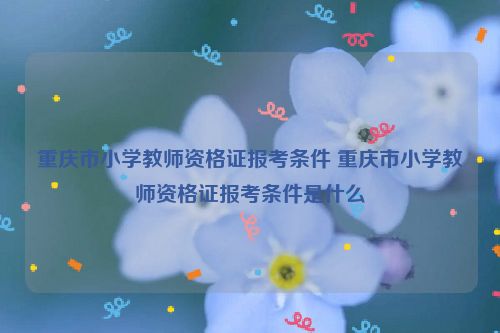 重庆市小学教师资格证报考条件 重庆市小学教师资格证报考条件是什么