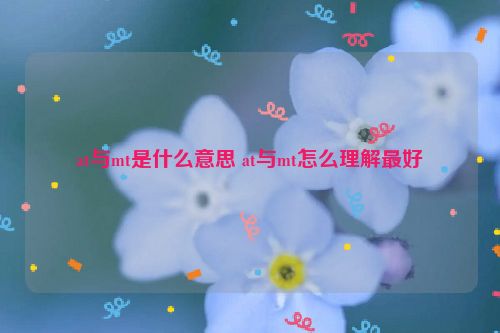 at与mt是什么意思 at与mt怎么理解最好