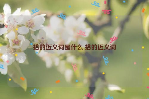 拾的近义词是什么 拾的近义词