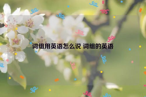 词组用英语怎么说 词组的英语