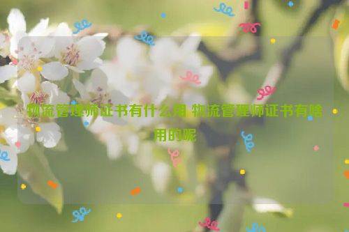 物流管理师证书有什么用 物流管理师证书有啥用的呢