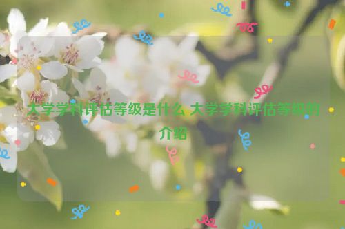 大学学科评估等级是什么 大学学科评估等级的介绍