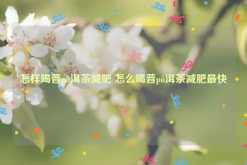 怎样喝普pǔ洱茶减肥 怎么喝普pǔ洱茶减肥最快