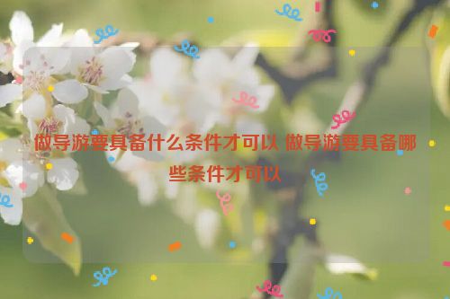 做导游要具备什么条件才可以 做导游要具备哪些条件才可以