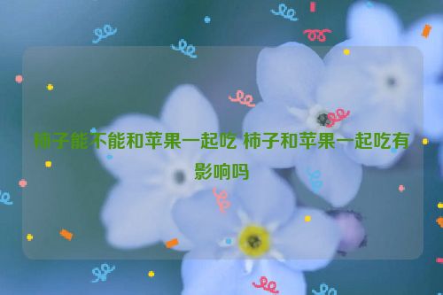 柿子能不能和苹果一起吃 柿子和苹果一起吃有影响吗