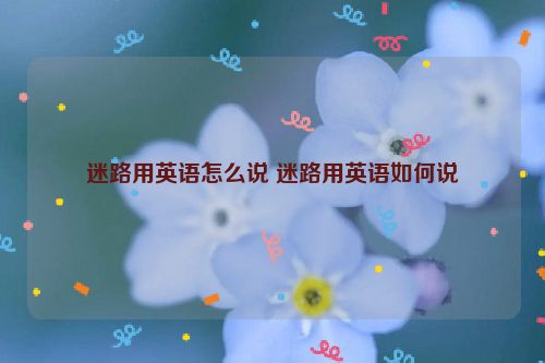 迷路用英语怎么说 迷路用英语如何说