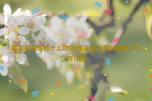 喝茉莉花茶有什么功效 喝茉莉花茶的功效与作用介绍