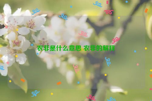 农非是什么意思 农非的解释