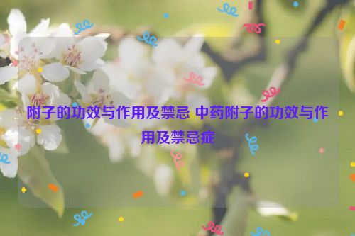 附子的功效与作用及禁忌 中药附子的功效与作用及禁忌症