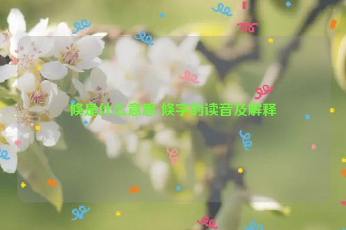 倏是什么意思 倏字的读音及解释