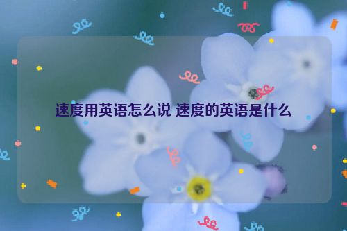 速度用英语怎么说 速度的英语是什么