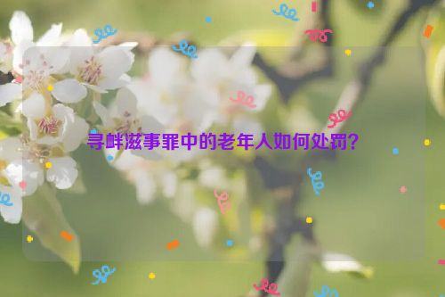 寻衅滋事罪中的老年人如何处罚？