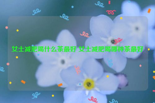 女士减肥喝什么茶最好 女士减肥喝哪种茶最好