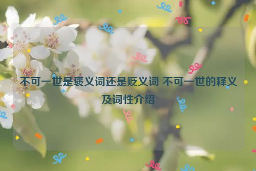 不可一世是褒义词还是贬义词 不可一世的释义及词性介绍